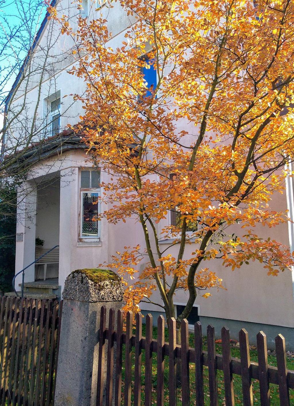 Homestay Gaestezimmer In Springe, Hannover *